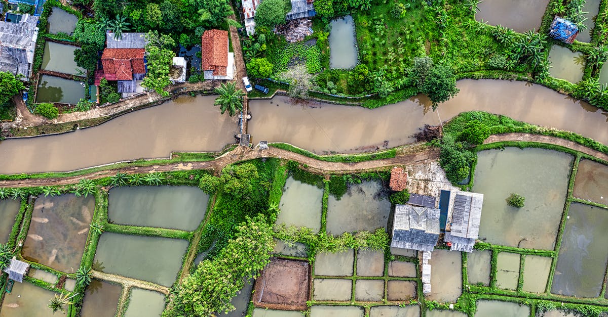 In Civ 4 is the Dutch Dike building the only building that adds production to non-river water tiles? - Rice fields near small settlement In Civ 4 is the Dutch Dike building the only building that adds production to non-river water tiles? - Rice fields near small settlement