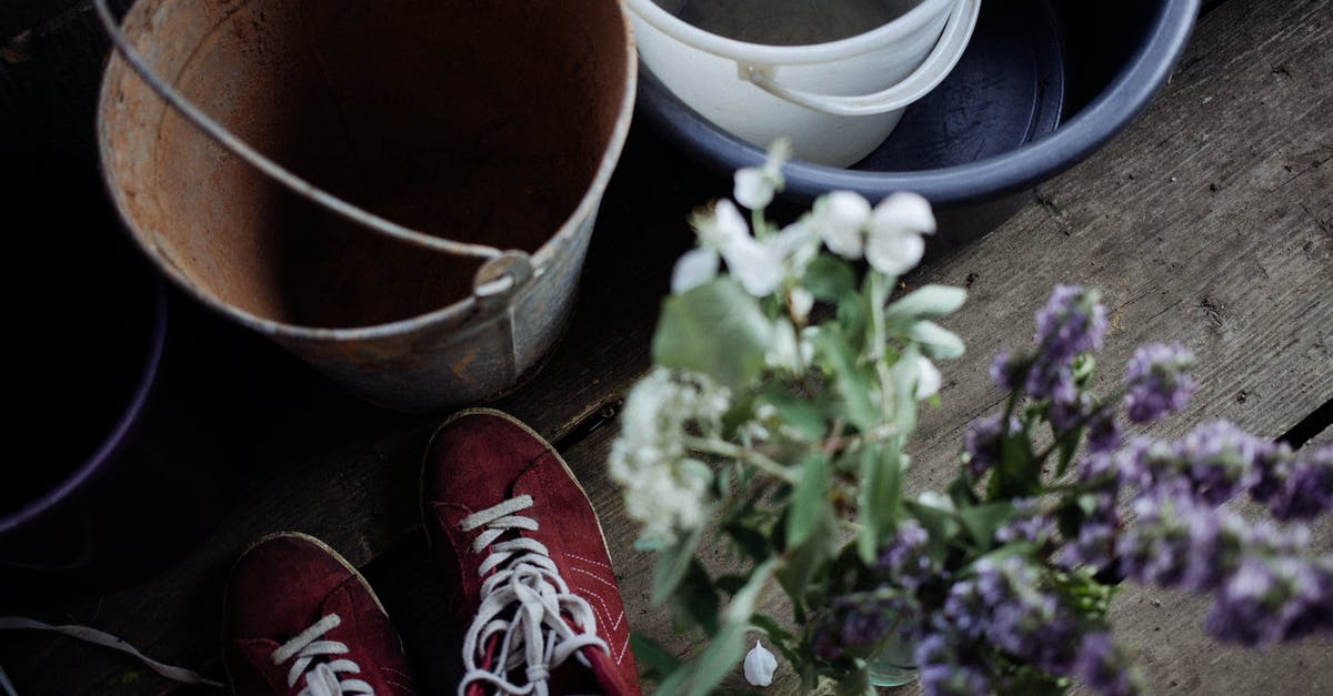 In Clash of Clans, what base/layout is attacked, village or war? - From above of fresh blooming flowers placed on wooden floor near red trainers and buckets with basin