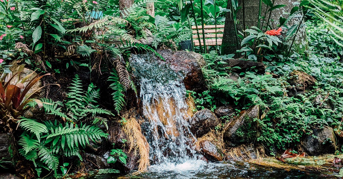 In Direwolf20, Minefactory Harvester Has No Jungle Wood Option - Small Waterfall in Tropical Forest In Direwolf20, Minefactory Harvester Has No Jungle Wood Option - Small Waterfall in Tropical Forest