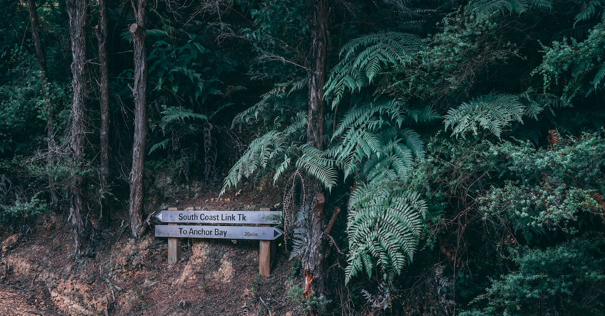 In general, what is the quickest path through the jungle? - Brown Wooden Signage Near Trees at Daytime