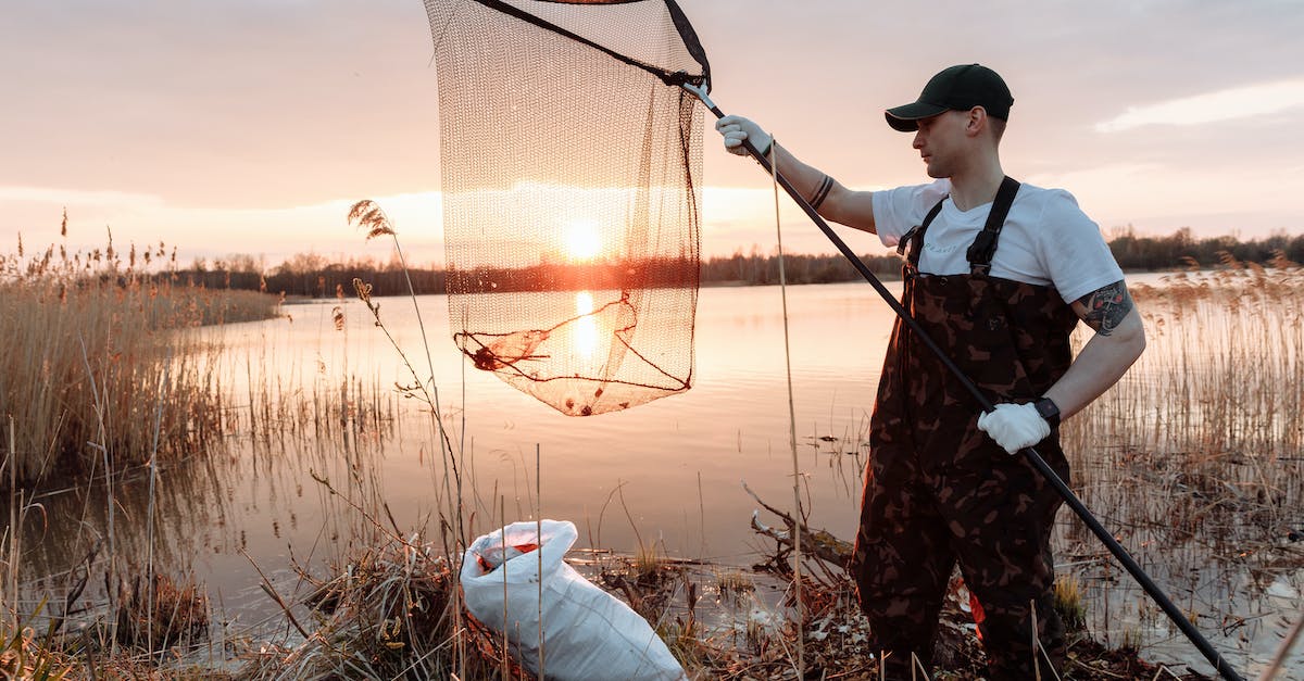In Mega Man Revolution, what effect does collecting all of the "MEGAMANR" letters have? - Free stock photo of bottle, boy, calm