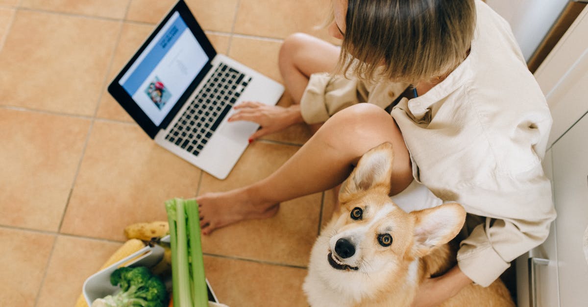In Minecraft how do I stop my dog from dying to other people - A Cute Dog Looking Up while Sitting Beside a Person Using Laptop In Minecraft how do I stop my dog from dying to other people - A Cute Dog Looking Up while Sitting Beside a Person Using Laptop