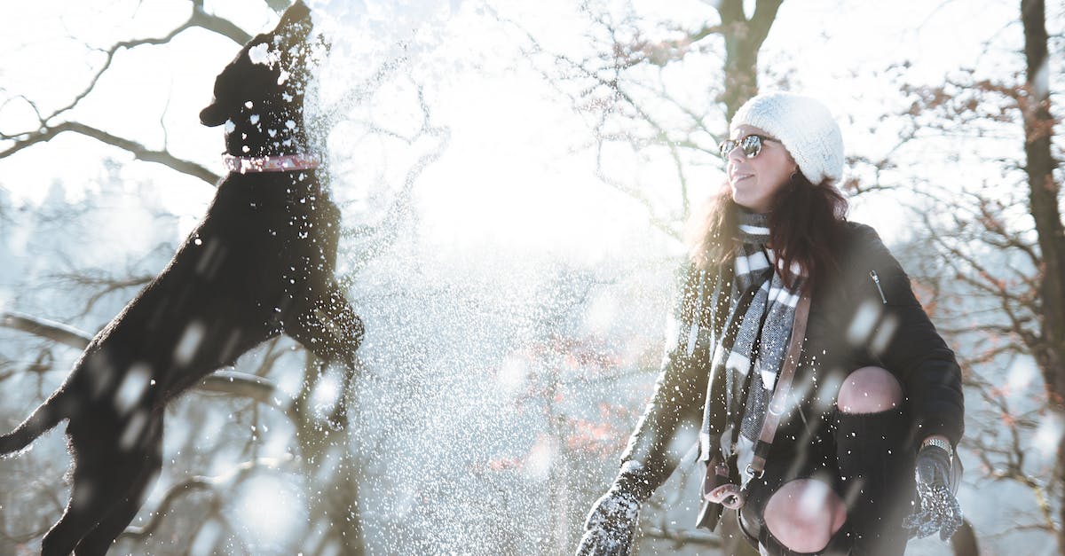 In Season 2 do I play as Clementine, or someone else? - Young Woman in Snow