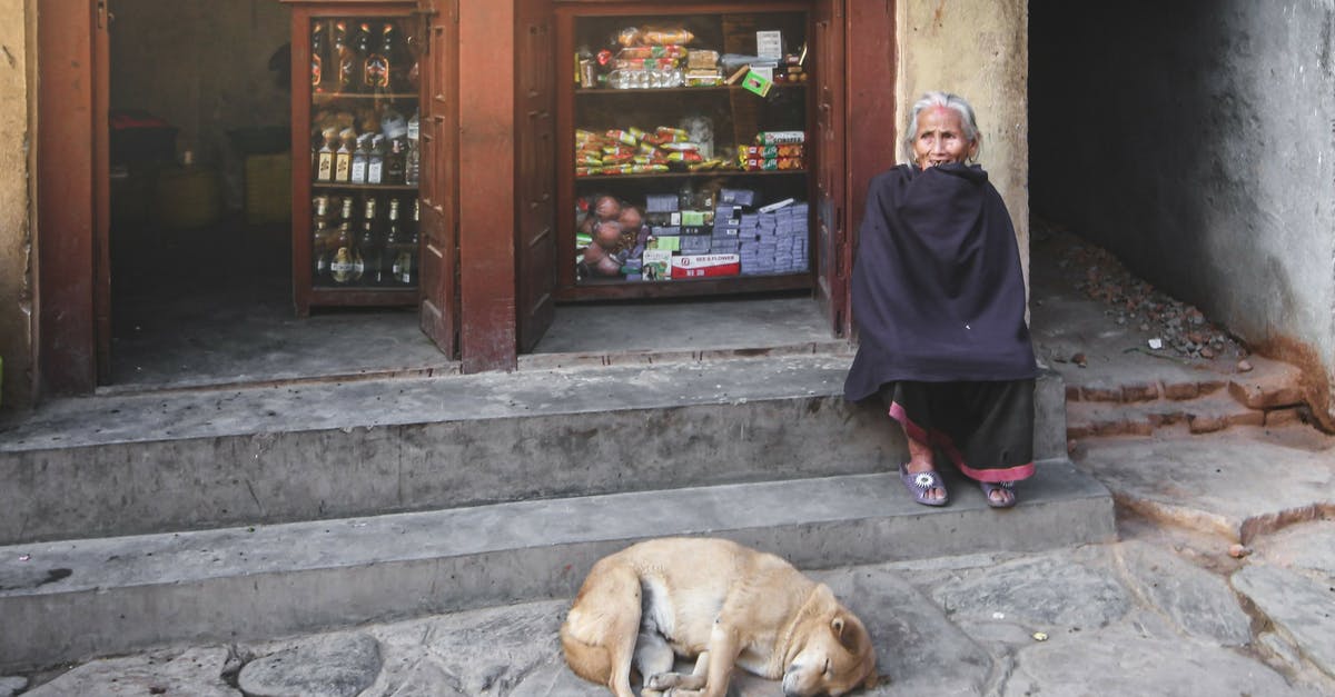 In Sim City 4, what does the "obliterate city" animation supposed to represent? [closed] - Senior Indian woman on stairs near sleeping dog on street