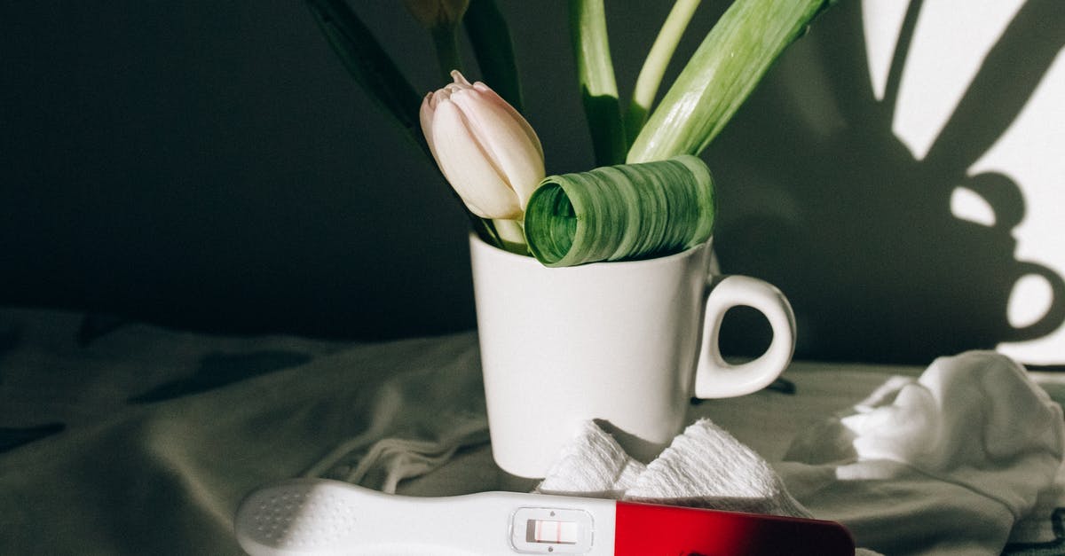 In Terranigma, what was the result of the last war between Dark and Light Gaia? - White Tulips in White Ceramic Mug In Terranigma, what was the result of the last war between Dark and Light Gaia? - White Tulips in White Ceramic Mug