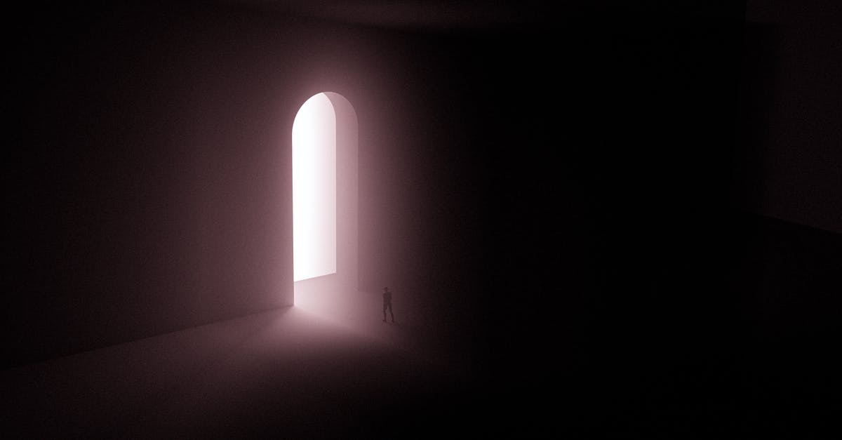 In the 3D Zeldas, is it faster to roll or to simply walk? - Silhouette of Person Standing Near A Doorway With Bright Light 