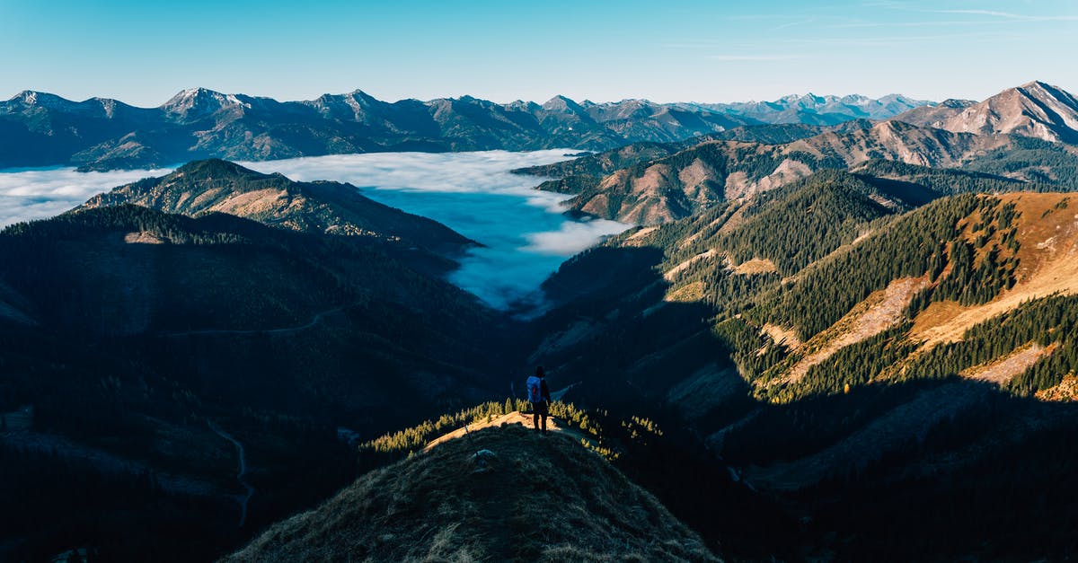 In the korok forest, why do the koroks run away from me when I get in their sight? - Backpacker on Mountain Peak Looking at View