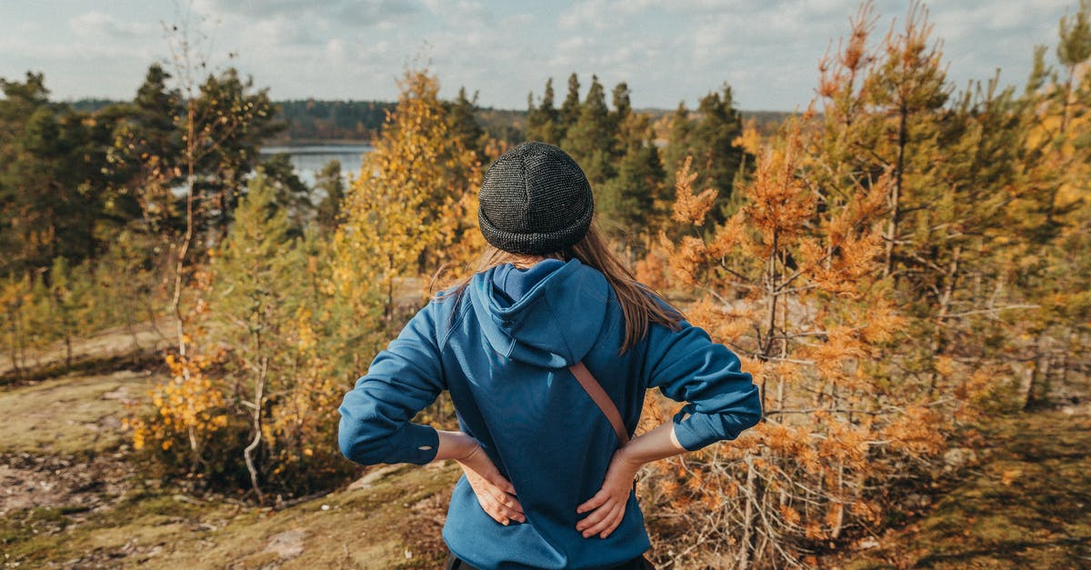 In the korok forest, why do the koroks run away from me when I get in their sight? - Female Hiker Looking at View In the korok forest, why do the koroks run away from me when I get in their sight? - Female Hiker Looking at View