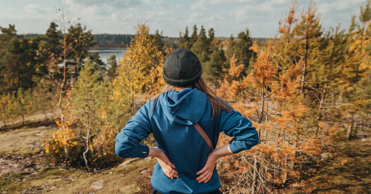 In the korok forest, why do the koroks run away from me when I get in their sight? - Female Hiker Looking at View 