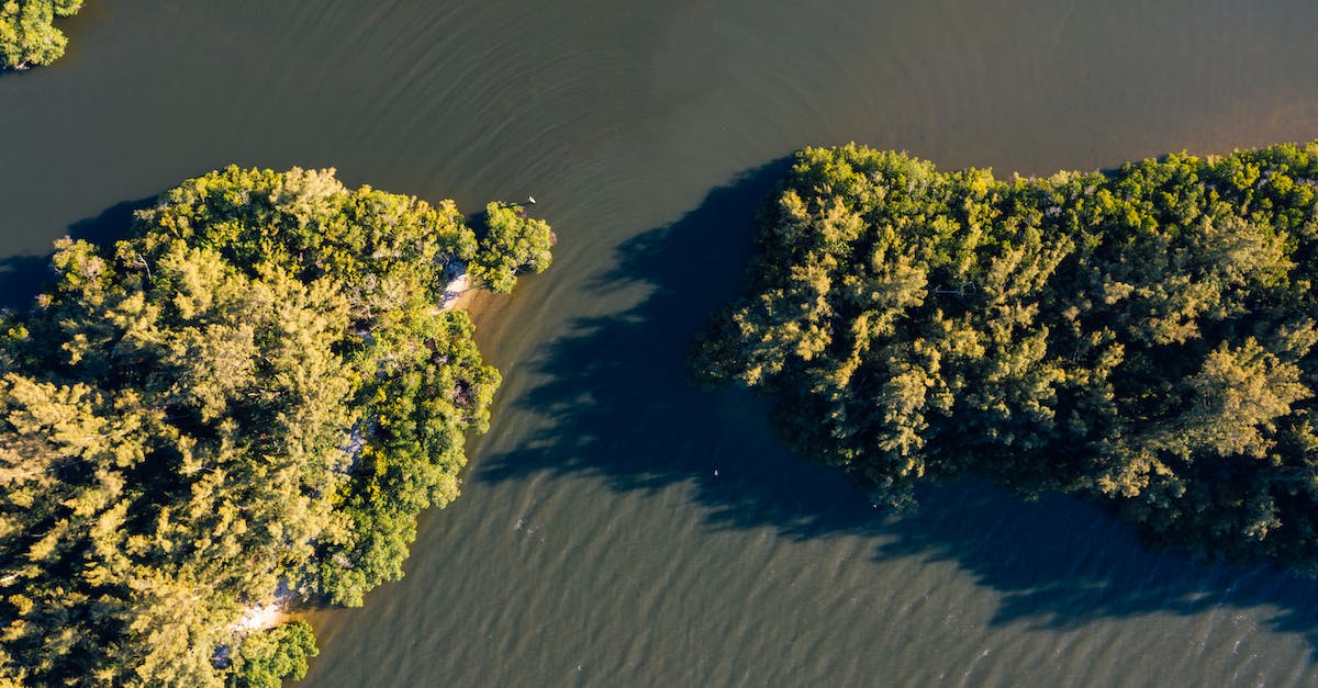 In the Things Betwixt zone, what does the coffin by the lake do? - Drone view of colorful green shrubs growing in river with ripples on surface in sunlight in summertime In the Things Betwixt zone, what does the coffin by the lake do? - Drone view of colorful green shrubs growing in river with ripples on surface in sunlight in summertime