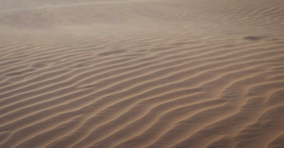 In Wasteland 2, is there any non-corpse loot in random encounters? - Brown Sand With Water In Wasteland 2, is there any non-corpse loot in random encounters? - Brown Sand With Water