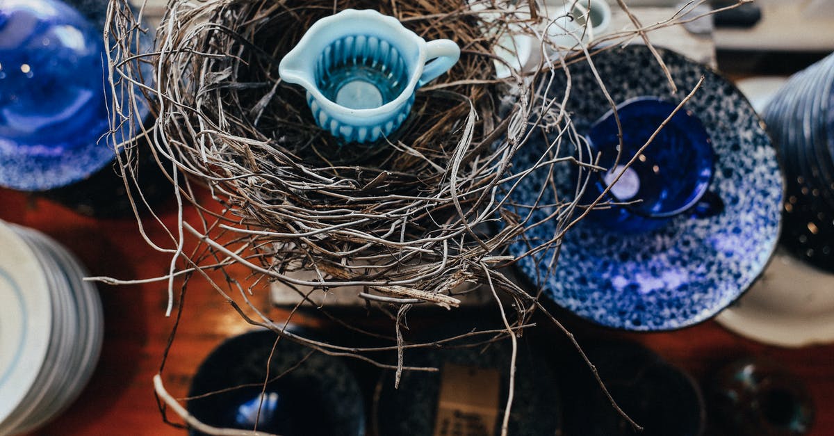 In which order should the branches of the Zelda timeline be played? [closed] - Blue and White Ceramic Bowl on Brown Wooden Table