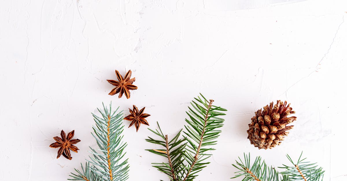 In which order should the branches of the Zelda timeline be played? [closed] - Green and Brown Pine Cone