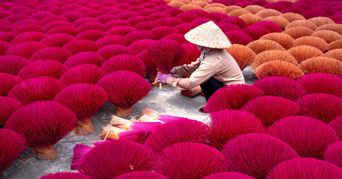 Incense doesn't work in Pokemon GO - High angle of anonymous woman in traditional incense sticks sitting among rows of bright incense sticks in Vietnam village in daylight Incense doesn't work in Pokemon GO - High angle of anonymous woman in traditional incense sticks sitting among rows of bright incense sticks in Vietnam village in daylight