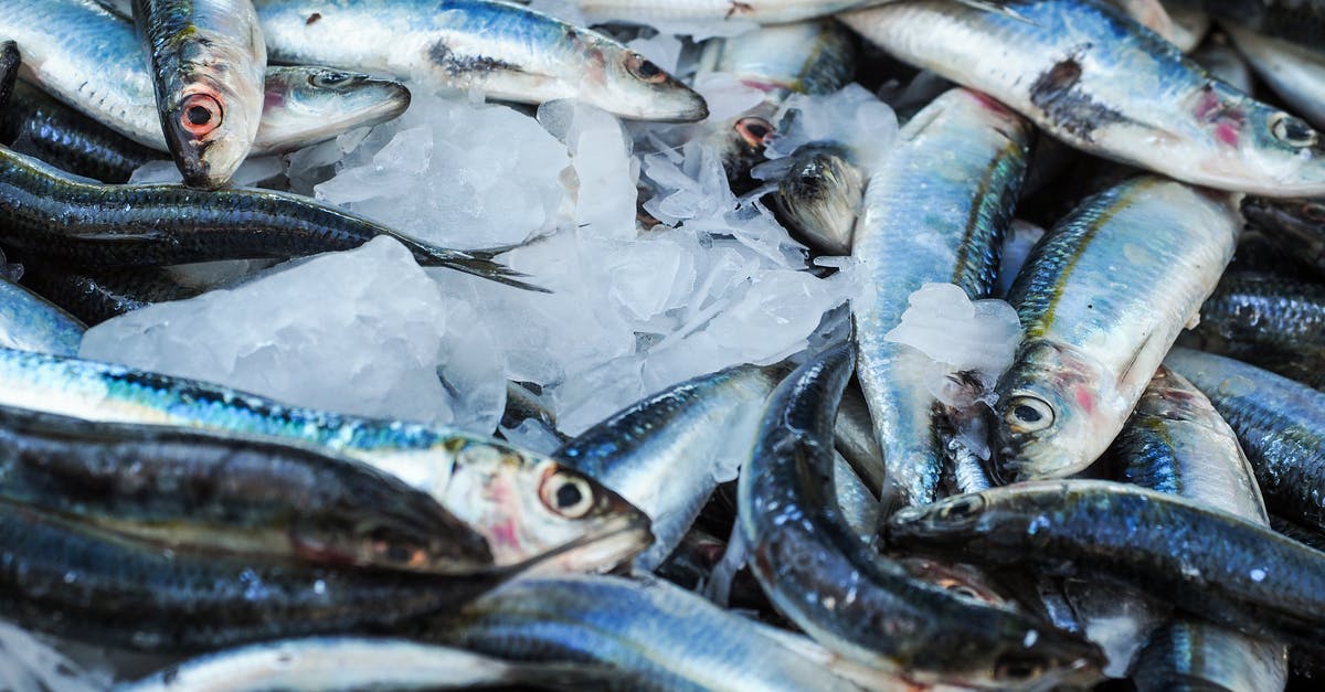 Influence of quality of fish used to stock pond - Fresh Fishes Influence of quality of fish used to stock pond - Fresh Fishes