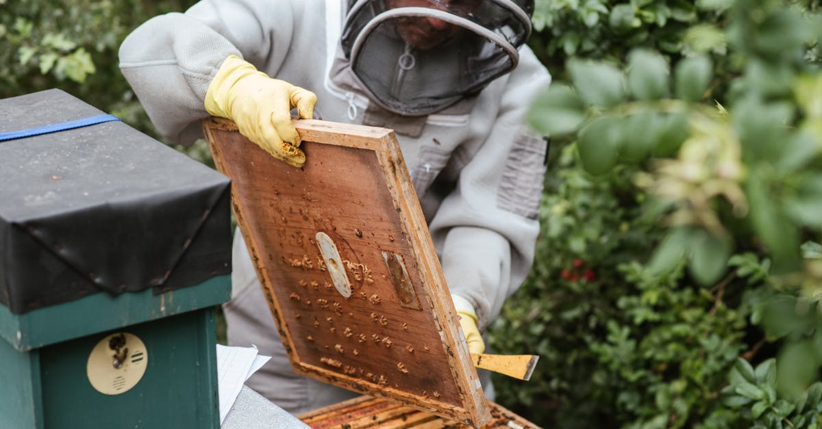 Inoperative Apiary in Hearthfire - Crop man harvesting honey in countryside area Inoperative Apiary in Hearthfire - Crop man harvesting honey in countryside area