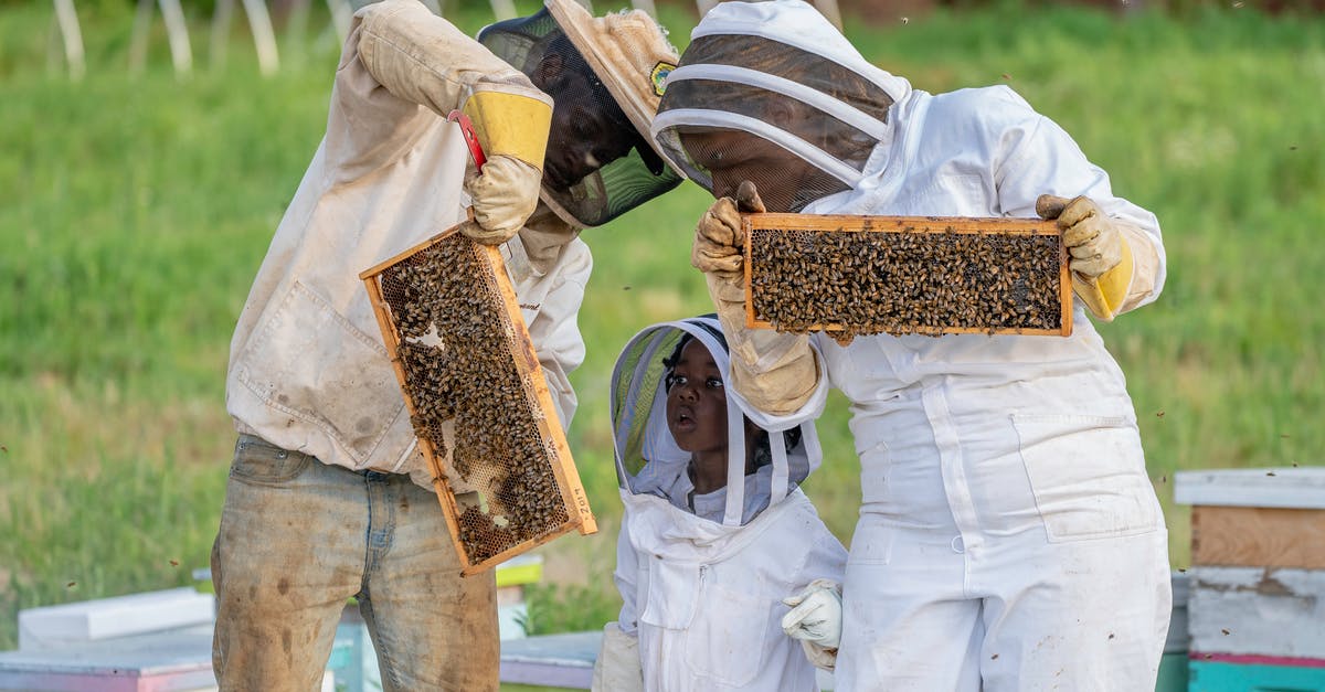 Inoperative Apiary in Hearthfire - Man and Woman with a Girl Wearing White Costumes While Beekeeping Inoperative Apiary in Hearthfire - Man and Woman with a Girl Wearing White Costumes While Beekeeping