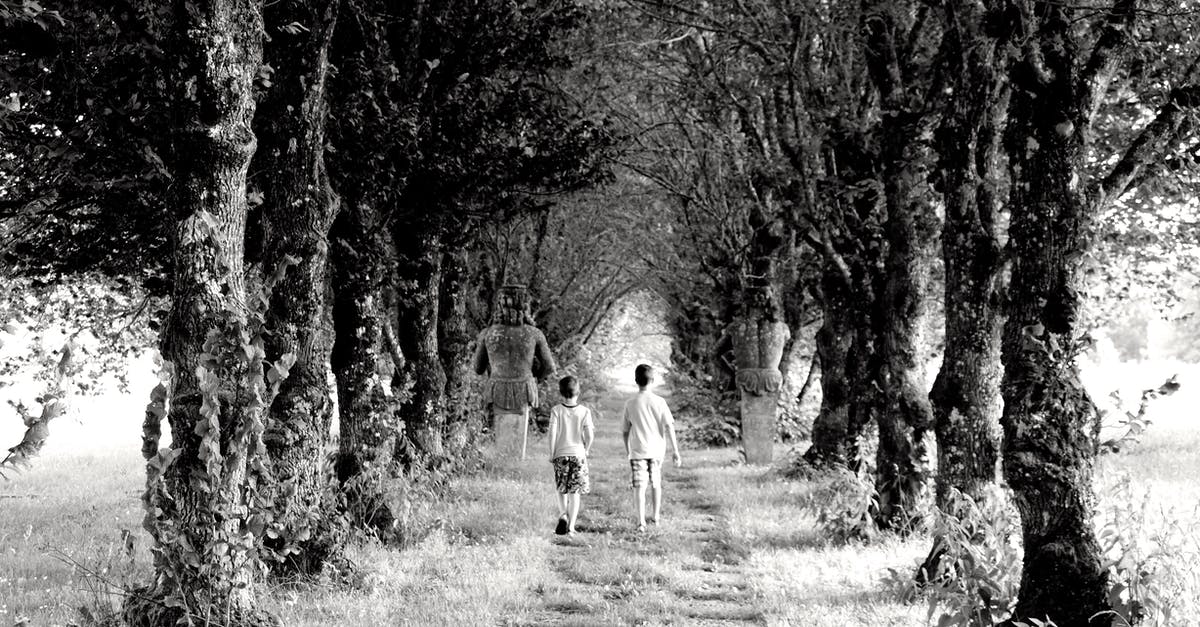 Interaction between Dokkan and Hidden Potential - Backview of Children walking in an Unpaved Path between Trees Interaction between Dokkan and Hidden Potential - Backview of Children walking in an Unpaved Path between Trees