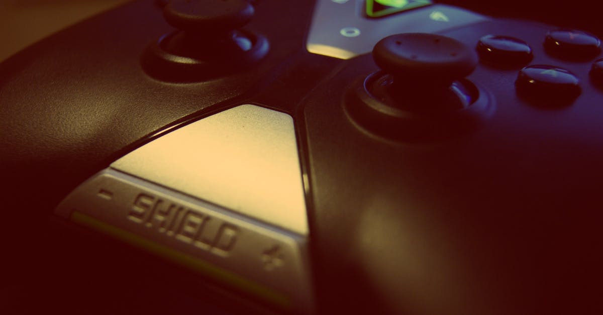 Internet functions appears disabled when game starts in the Atelier Plus games - Black Shield Game Controller Close-up Photography