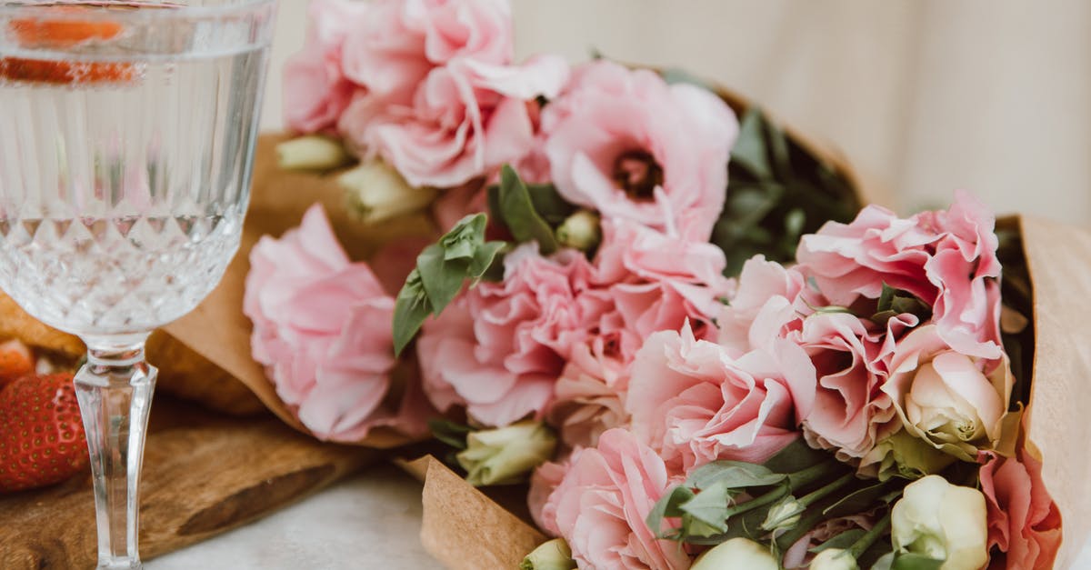 Introducing Dragons to Attack Composition - Free stock photo of bouquet, bride, champagne