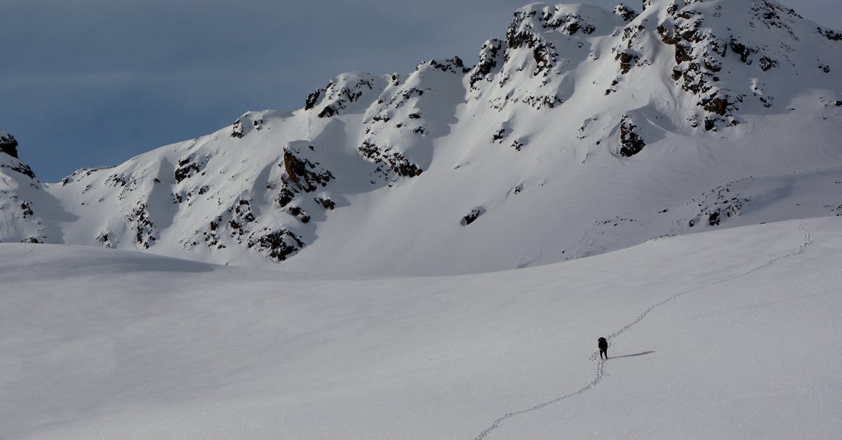 Is a 9 or 10 cost minion hit by Freezing Trap unplayable? - Person Walking on Snow Covered Mountain