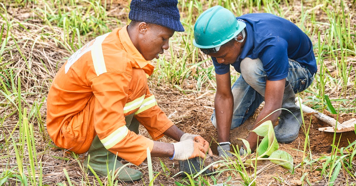 Is chest farming worth it? - Men Planting Plant on Soil
