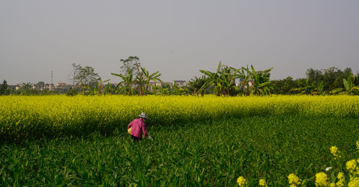 Is crop rotation actually necessary? - Person in the Middle of a Farmland