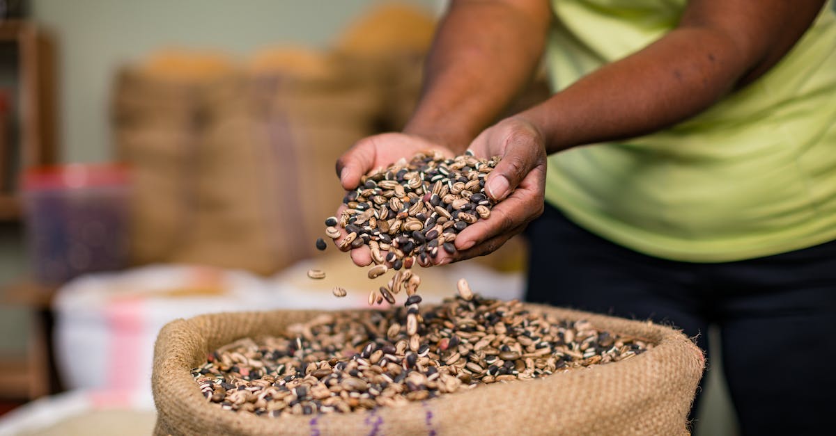 Is crop rotation actually necessary? - Free stock photo of adult, bag, bean