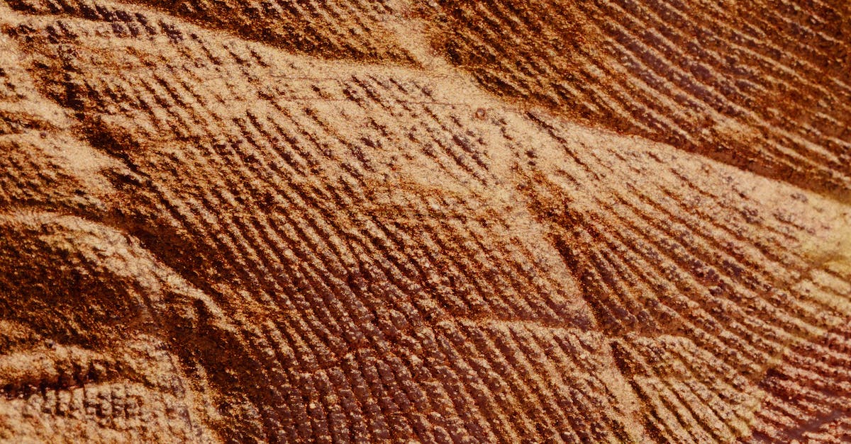 Is damage reduction applied before Unity splits damage, or after? - Cracked textured surface of brown color
