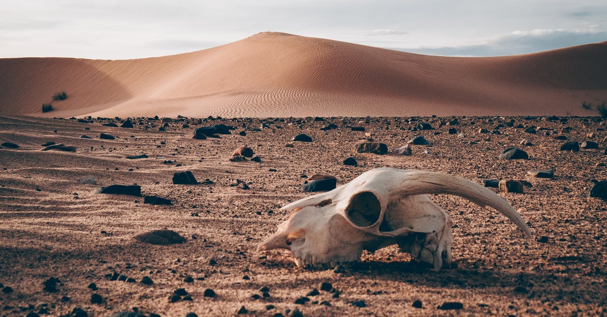 Is Death March more difficult in NG or NG+? - Remnants on Desert