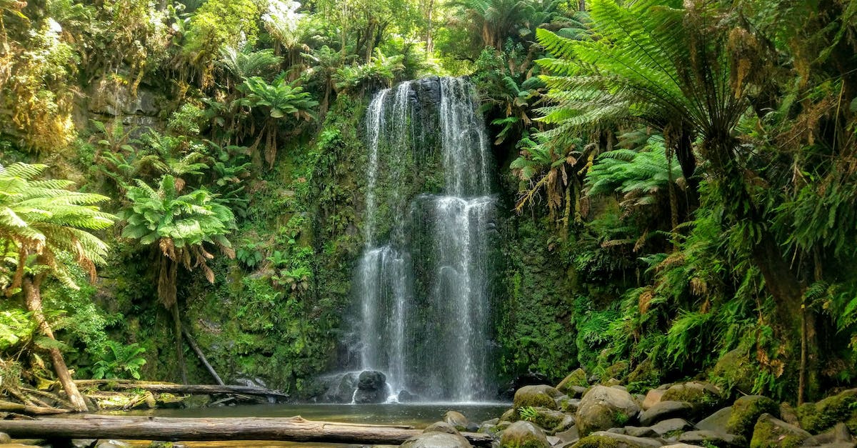 Is Evelyn viable somewhere else than in the jungle? - Free stock photo of cascade, jungle, landscape Is Evelyn viable somewhere else than in the jungle? - Free stock photo of cascade, jungle, landscape