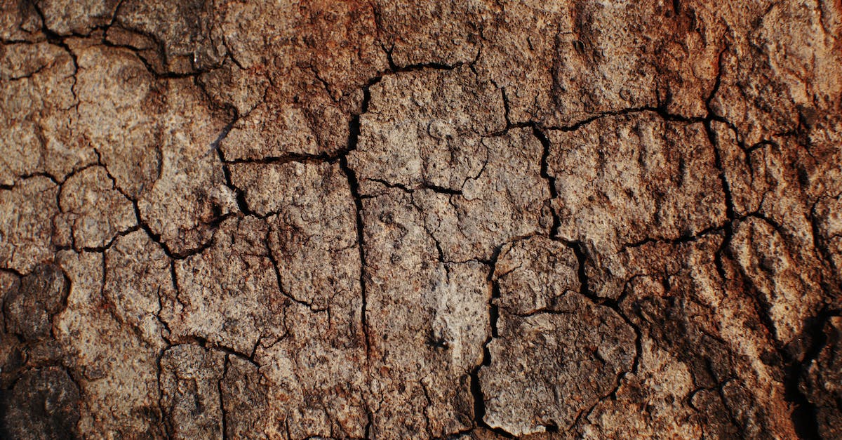 Is heat combinded damage also considered heat damage? - Full frame textured background of drought brown uneven surface with cracks in desert