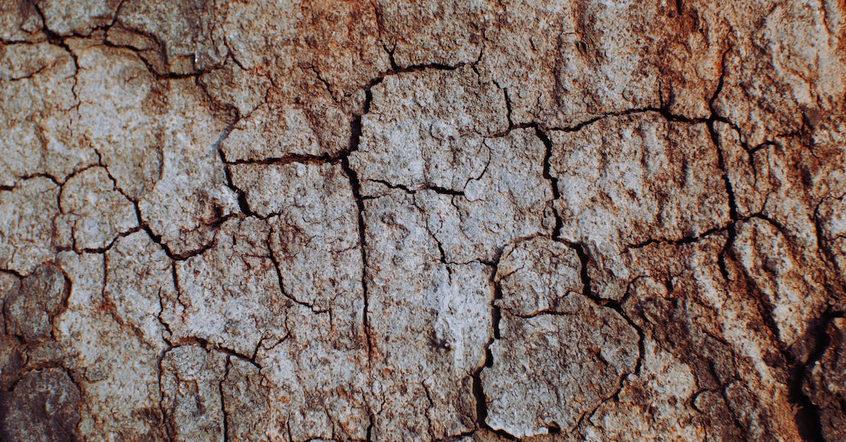 Is heat combinded damage also considered heat damage? - Full frame background of textured dry ground with cracks in lifeless arid terrain