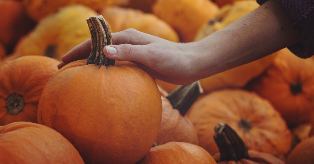 Is Heir still in Skyhold after choosing a specialisation? - Person Holding Pumpkin