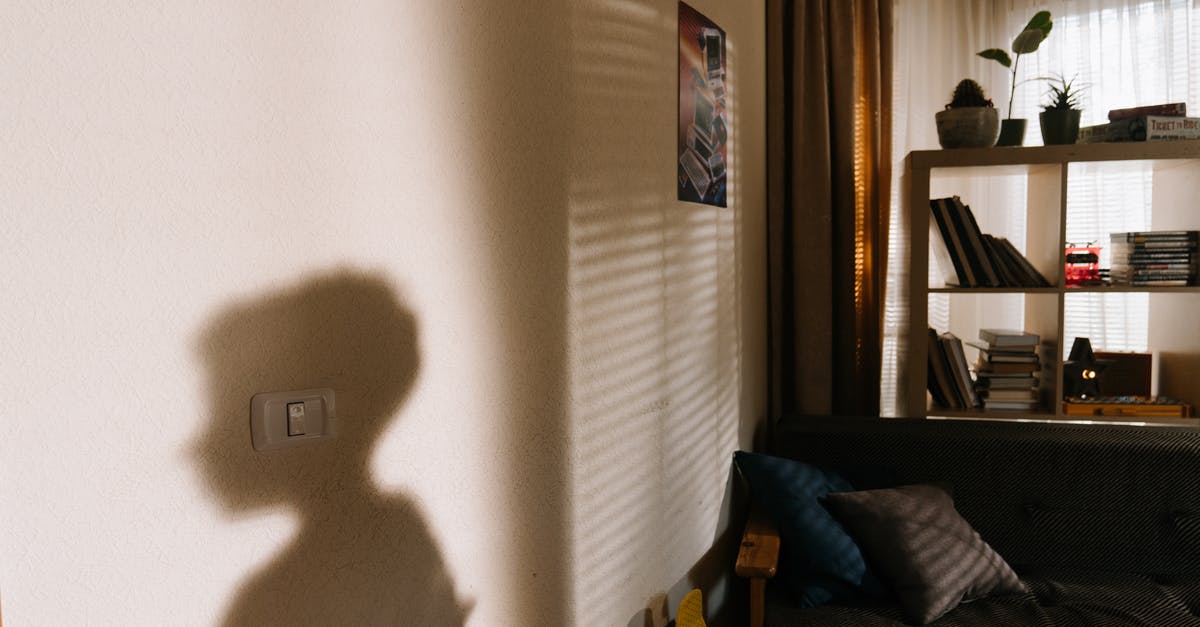 Is it okay to repeatedly switch game cartridges on a 3DS? - Blue Throw Pillow on Blue Sofa