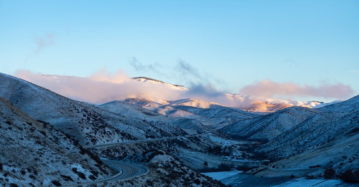 Is it possible to beat Nibbleh (Brawler's guild Rank 9) as a frost mage? - Black and Gray Floral Textile