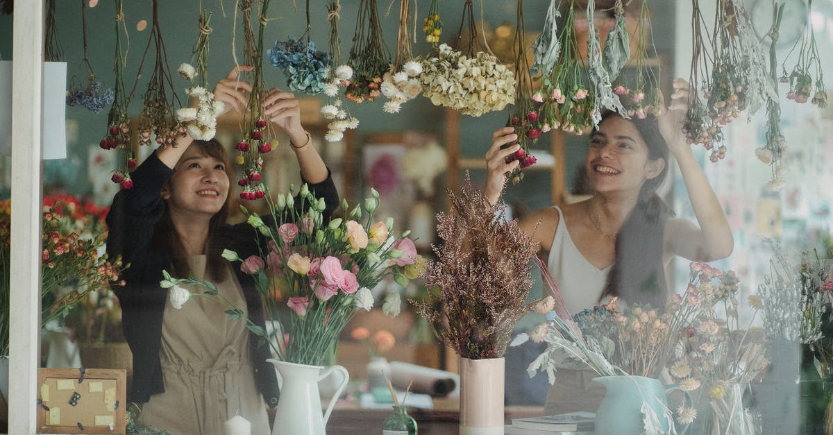Is it possible to create a counter just with wiring? - Through glass of cheerful florists creating cozy counter in floristry store Is it possible to create a counter just with wiring? - Through glass of cheerful florists creating cozy counter in floristry store
