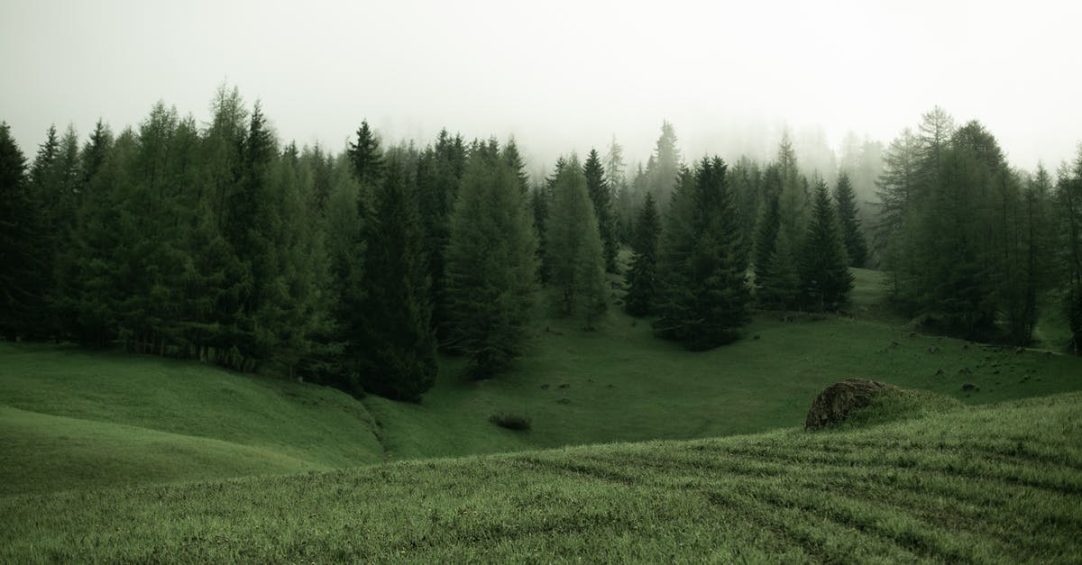 Is it possible to eradicate a tree in Stardew Valley? - Green meadow with trees on cloudy day Is it possible to eradicate a tree in Stardew Valley? - Green meadow with trees on cloudy day