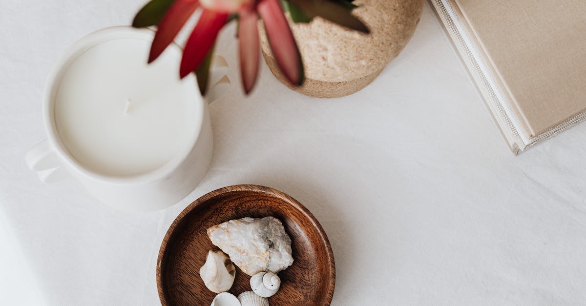 Is it possible to find a Thunder Stone before the Elite 4? - Free stock photo of breakfast, chocolate, christmas Is it possible to find a Thunder Stone before the Elite 4? - Free stock photo of breakfast, chocolate, christmas