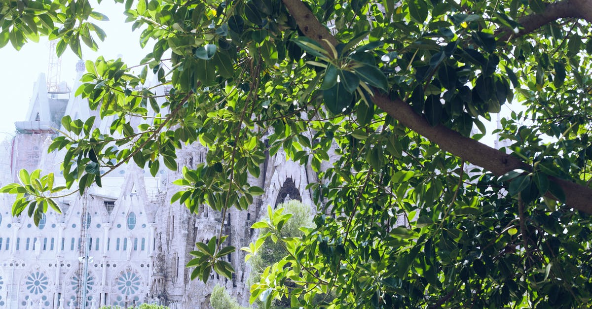 Is it possible to leave the Revolt against Roman Holy Empire? - Green foliage on tree against old Catholic cathedral