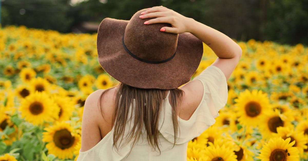 Is it possible to record video, depth map and 6D pose of any games? [closed] - Photo of Woman in a Sunflower Field