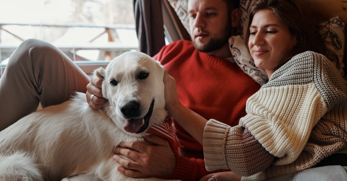 Is it possible to refer a friend who already has an account? - Couple Hugging in Bed with Their Golden Retriever Dog Is it possible to refer a friend who already has an account? - Couple Hugging in Bed with Their Golden Retriever Dog