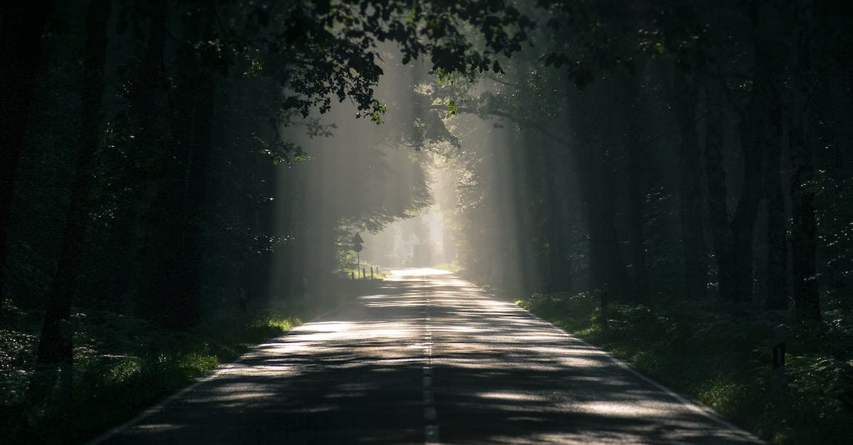 Is it possible to remap LMB (shield) to Shift in Dark Souls 2 on PC? - Gray Asphalt Road Surrounded by Tall Trees
