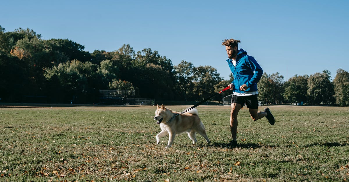 Is it possible to run out of unlock tokens on Zombies? - Ethnic hipster man running with West Siberian Laika on meadow Is it possible to run out of unlock tokens on Zombies? - Ethnic hipster man running with West Siberian Laika on meadow