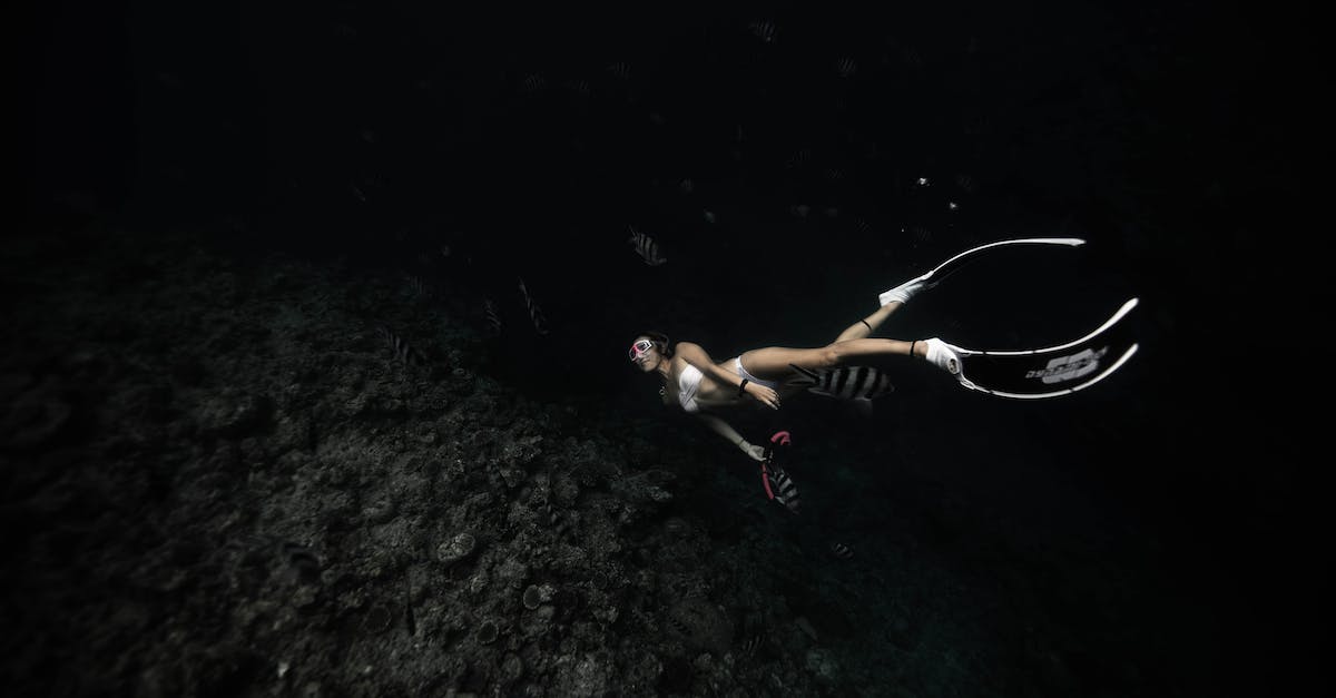 Is it possible to sense the depth of a well? - Full body of female in bikini snorkeling in mask and flippers swimming near corals and fishes Is it possible to sense the depth of a well? - Full body of female in bikini snorkeling in mask and flippers swimming near corals and fishes