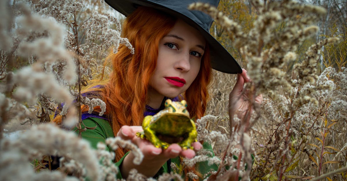 Is it possible to spare Magus but also cure Frog in Chrono Trigger? - Free stock photo of beautiful, christmas, cold Is it possible to spare Magus but also cure Frog in Chrono Trigger? - Free stock photo of beautiful, christmas, cold