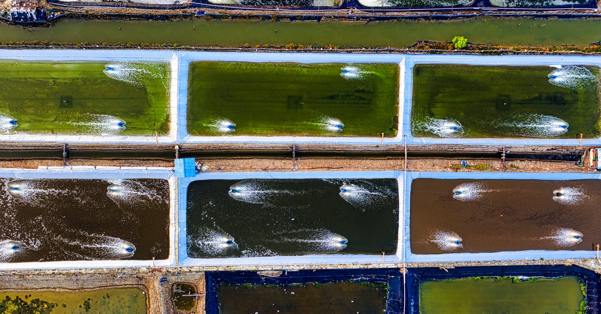 Is it possible to stream to the same Xbox One from two different Windows 10 machine? - Aerial view of different fish swimming in artificial ponds with foamy traces on water in daytime Is it possible to stream to the same Xbox One from two different Windows 10 machine? - Aerial view of different fish swimming in artificial ponds with foamy traces on water in daytime