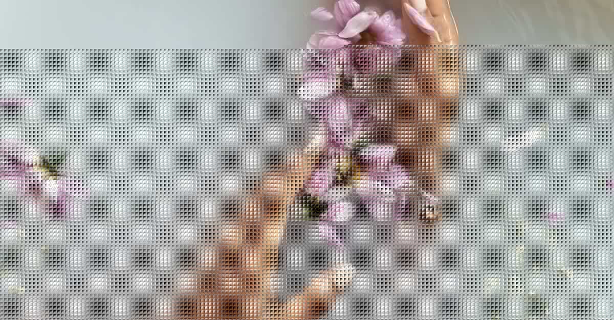 Is it possible to take screenshots on the 3DS? - Woman holding flowers in hands in water