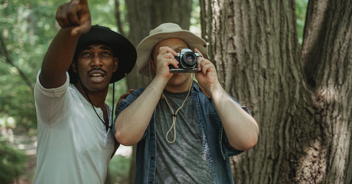 Is it possible to travel into / interact with NPCs in enemy faction territories? - Black traveler pointing with finger near friend with photo camera