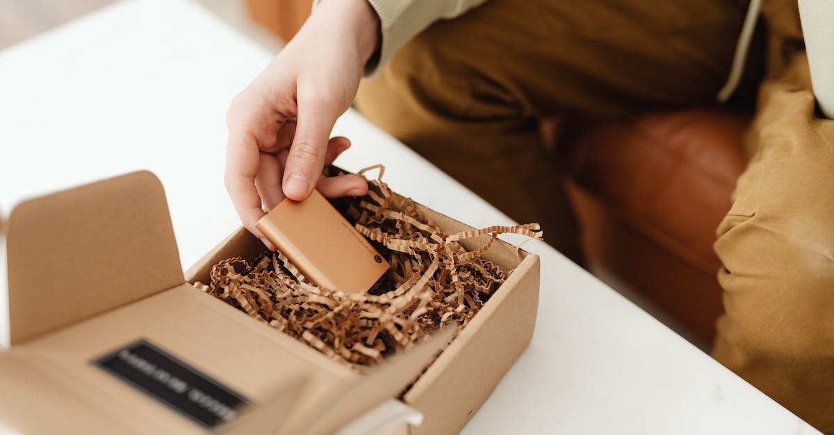 Is it worth buying schematics? - Person Holding Brown and White Box